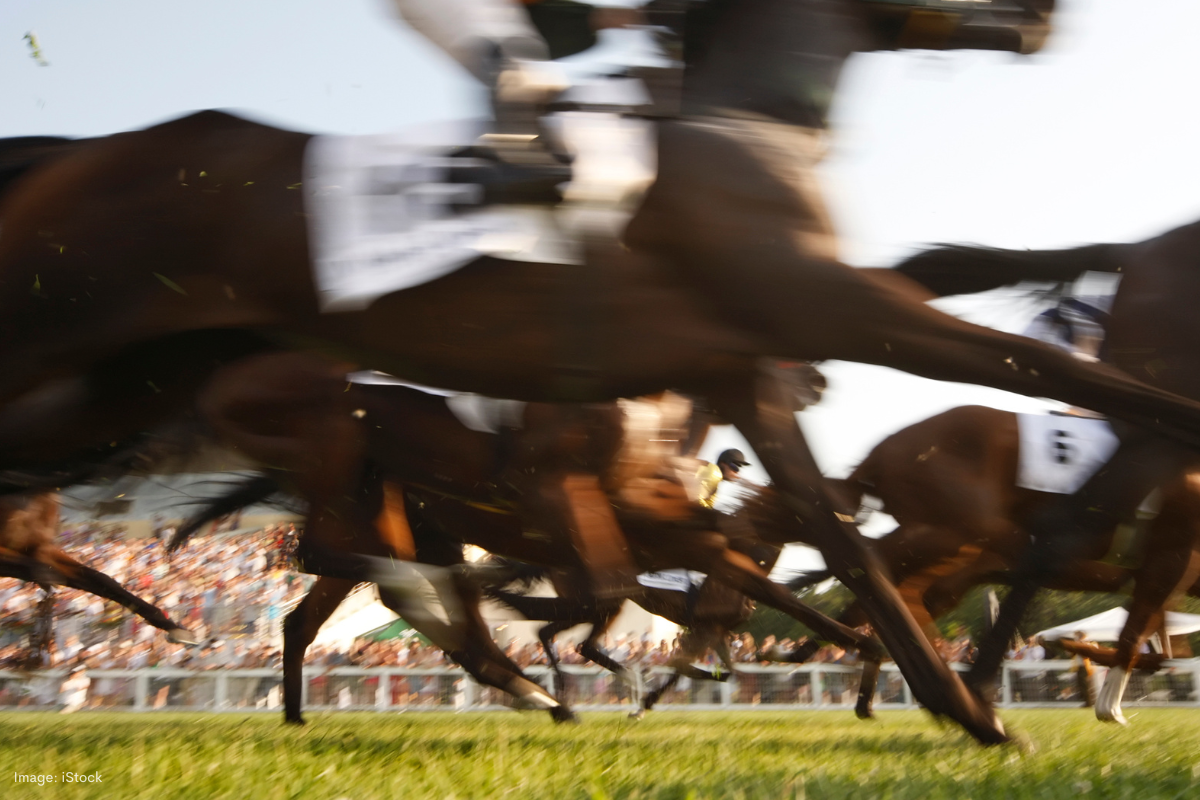 Article image for Big crowd is expected at Ascot for this year’s Melbourne Cup