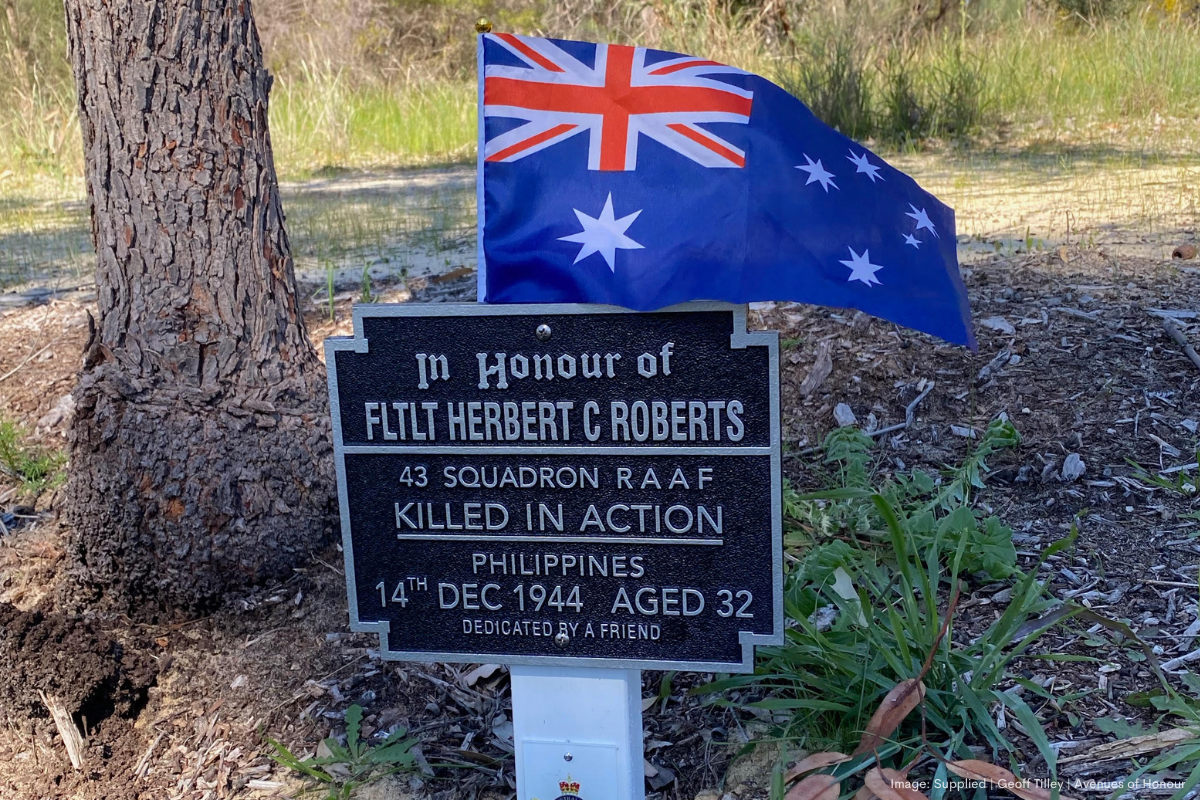 Article image for Tribute to the volunteers as they keep the memory alive this Remembrance Day