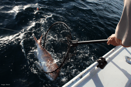 WA’s ‘drastic’ fishing reform threatens family-run commercial fishers, Opposition Leader warns