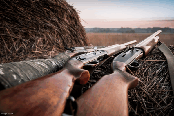 Civilian gun ownership at record high despite majority support for stricter