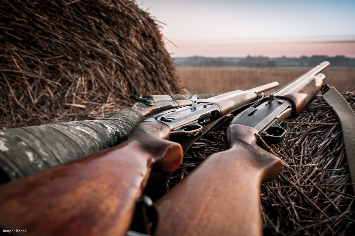 Article image for Civilian gun ownership at record high despite majority support for stricter laws