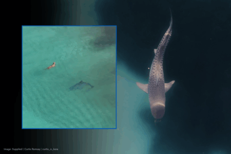 Stunning drone footage is your timely reminder to stay alert