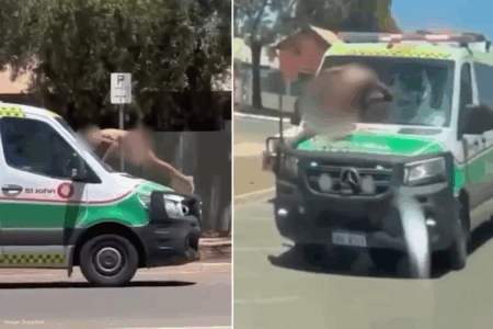 Investigation underway after naked man violently attacks ambulance in Boulder