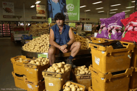 Local dairy farmers fear price push as Spudshed launches own milk brand