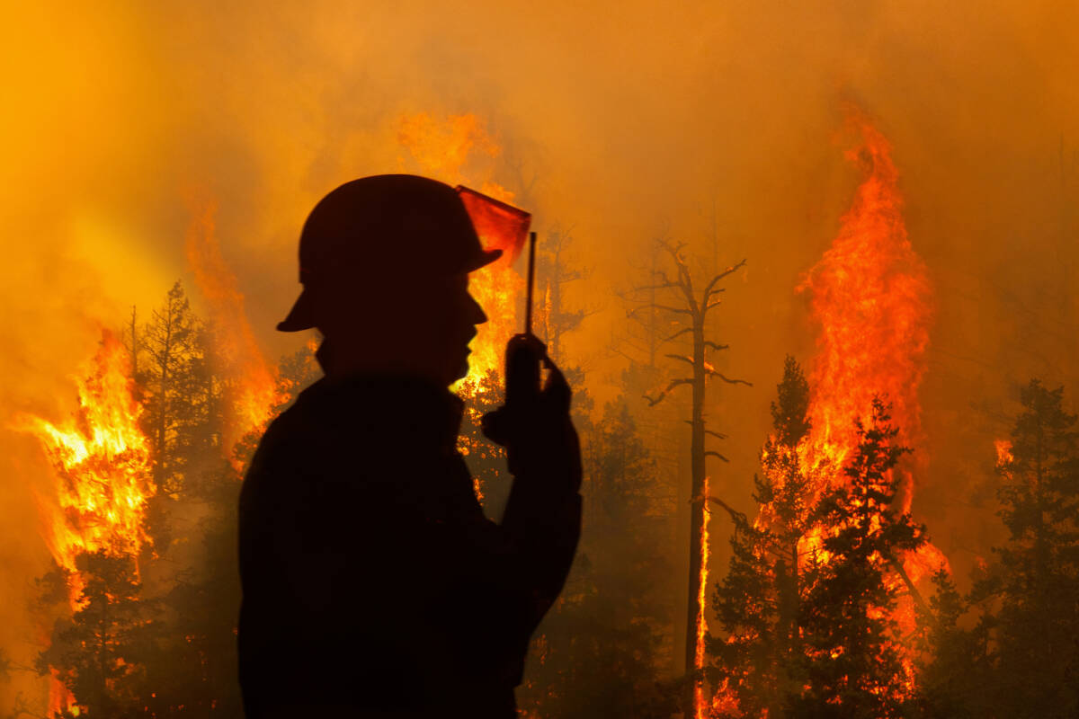 Article image for How Western Australians can prepare their homes for bushfires
