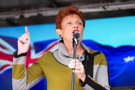 ‘Concerns me greatly’: Pauline Hanson extraordinary claim about Labor’s new hate speech laws