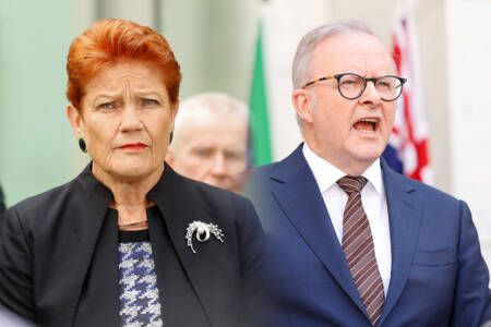 Albanese and Hanson voted Australia’s best communicators