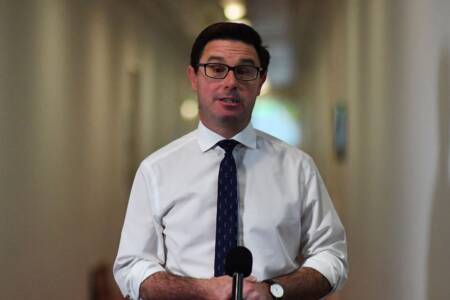 ‘They’re doing you over’: David Littleproud’s strong comments on the cost of living