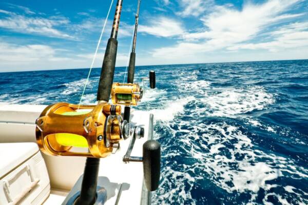 'Absolutely crazy': Fishing Industry Council CEO weighs in on controversial