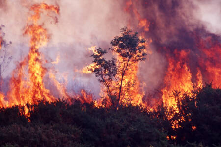 19-year-old charged after alleged role in Kalamunda bushfire