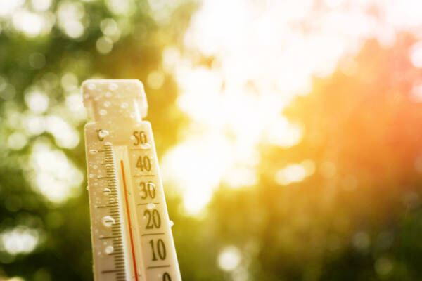 New survey reveals impact of extreme heat on Australians