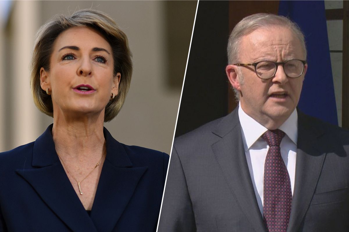 Article image for Michaelia Cash’s strong message to Albo after royal commission backflip