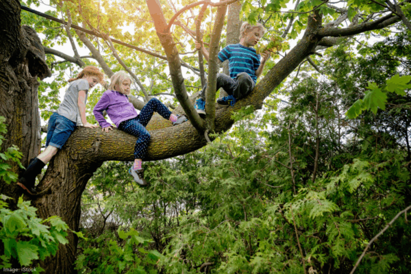 The value of risk-taking in child development