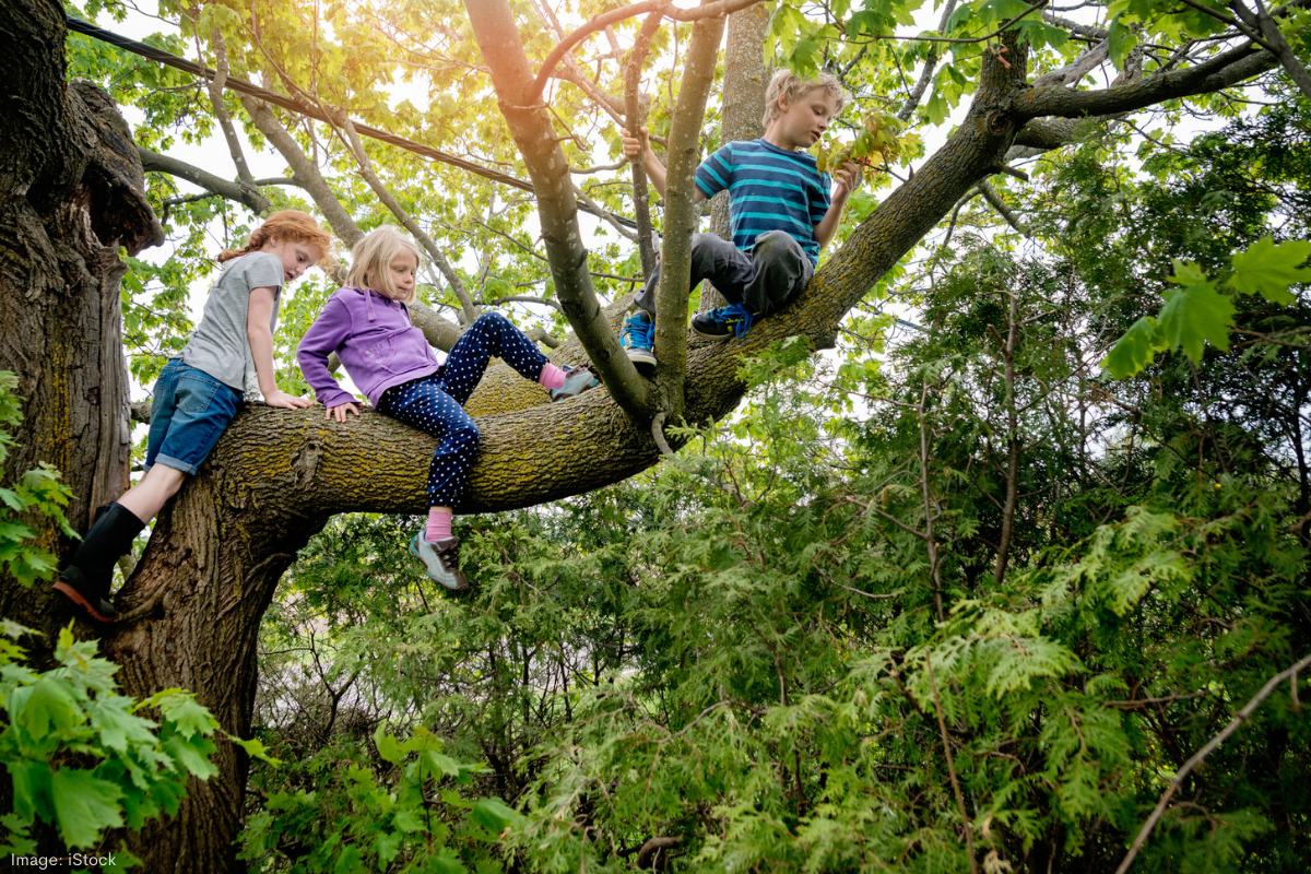 Article image for The value of risk-taking in child development