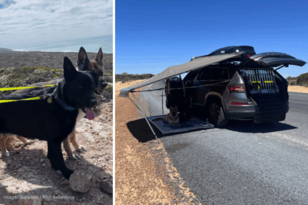 RAC refusal leaves woman and dogs stranded in extreme heat