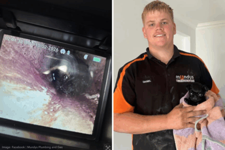 Rumour Confirmed: Plumb lucky pup and the great drain escape