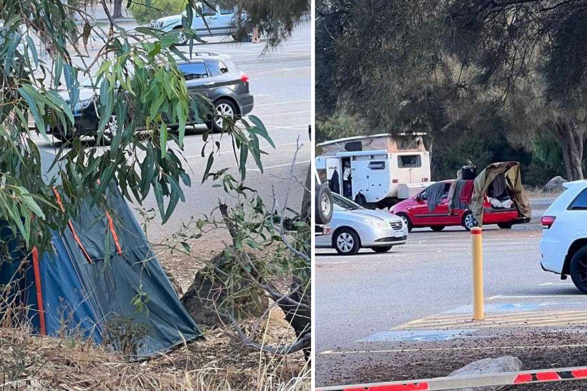 Article image for Illegal campers plague the state reserve as the government falls short