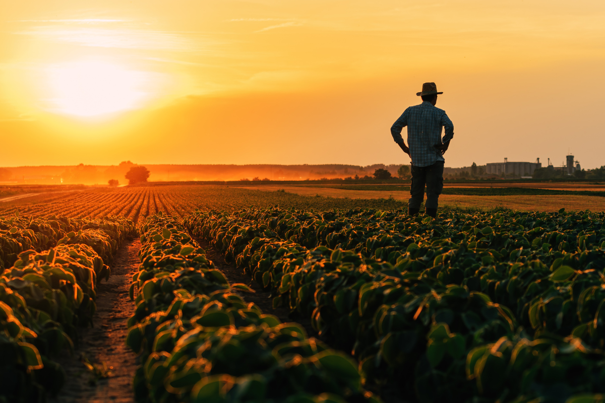 Article image for How an impending ceasefire could bring relief to WA farmers