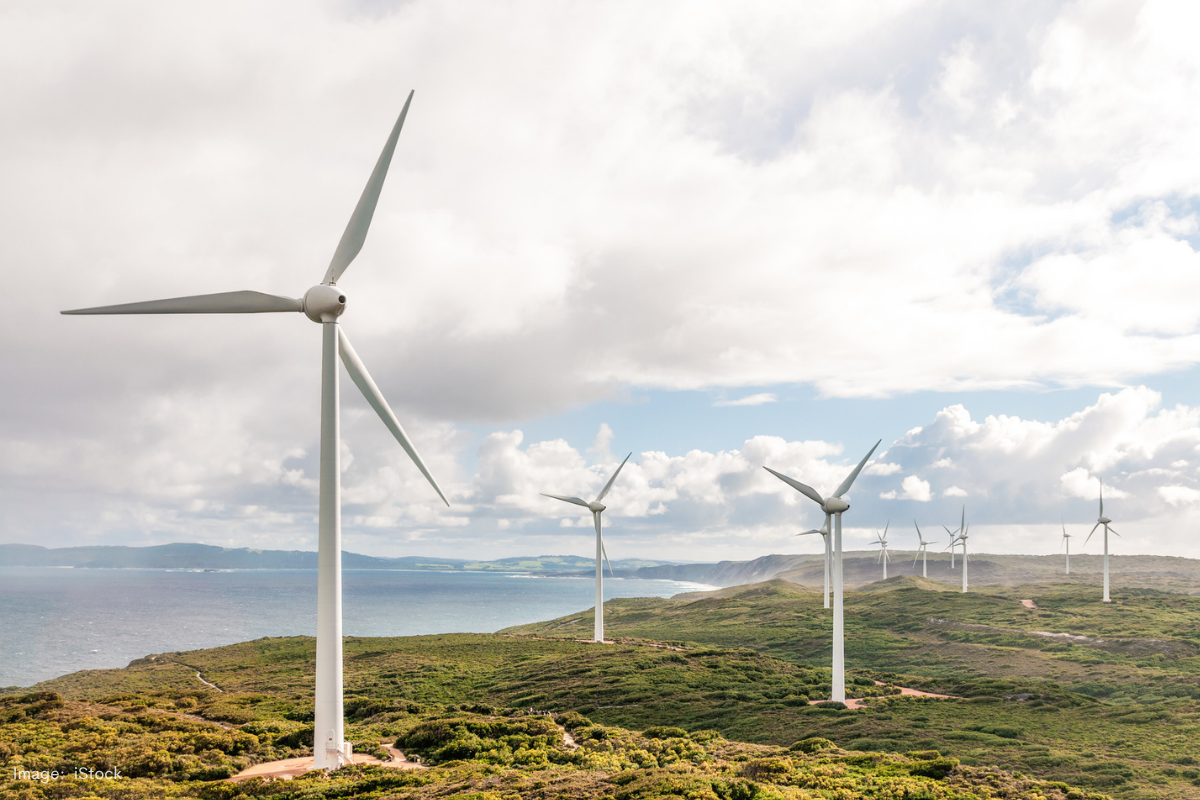 Article image for Big regional cities are ‘essential’ to WA’s renewable energy future, says Cook