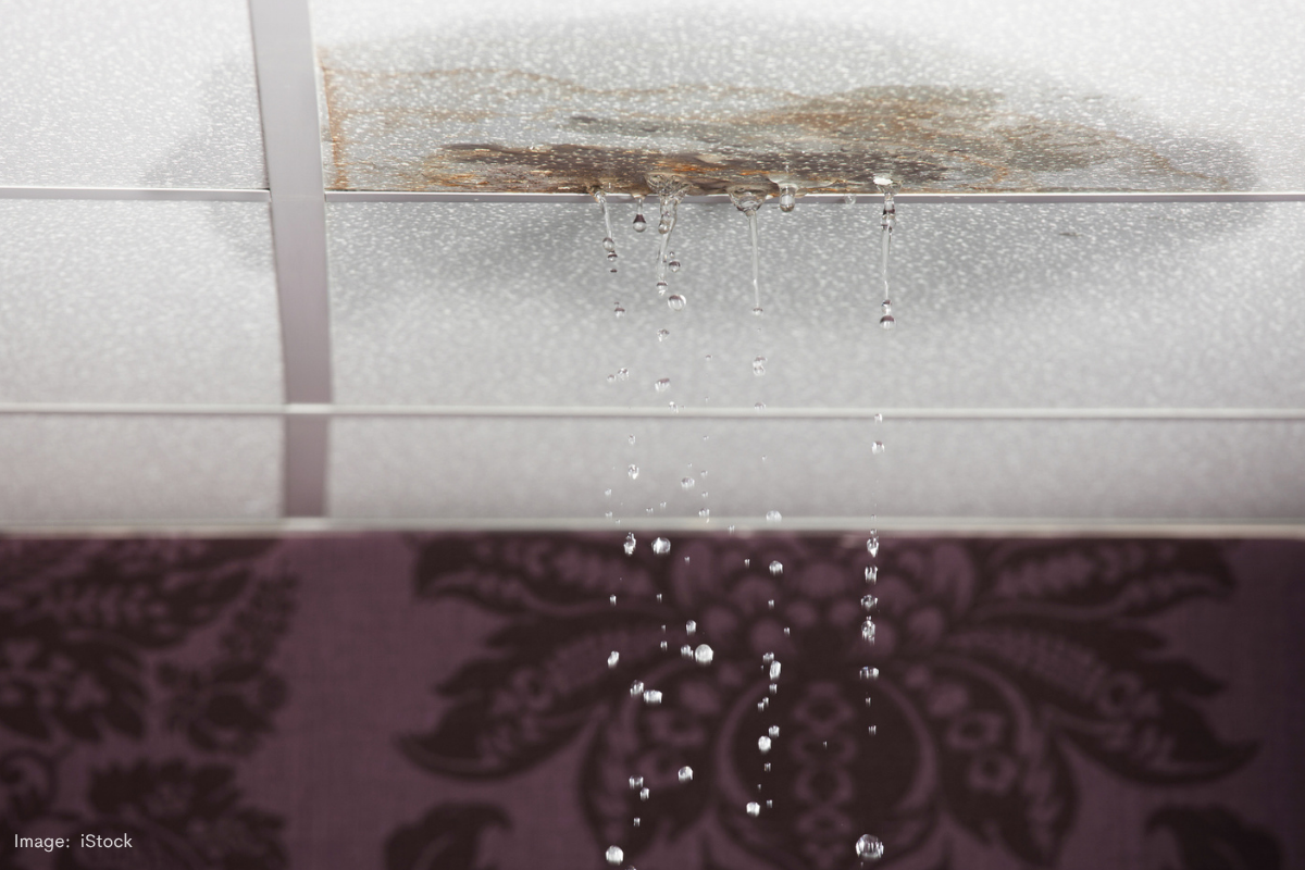 Article image for Shoddy apartments scandal: Pensioner slams housing department for selling faulty flats and walking away