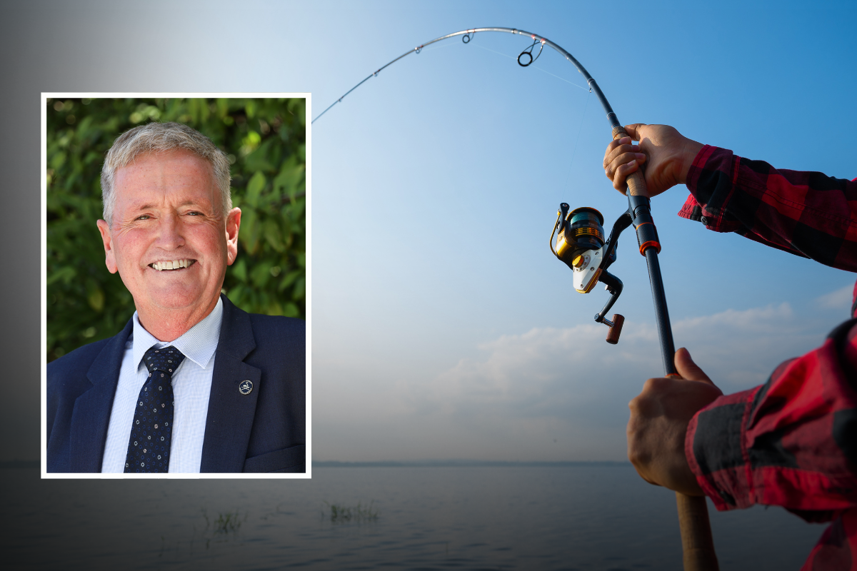 Article image for Controversial Fishing Ban Inquiry Passes Upper House