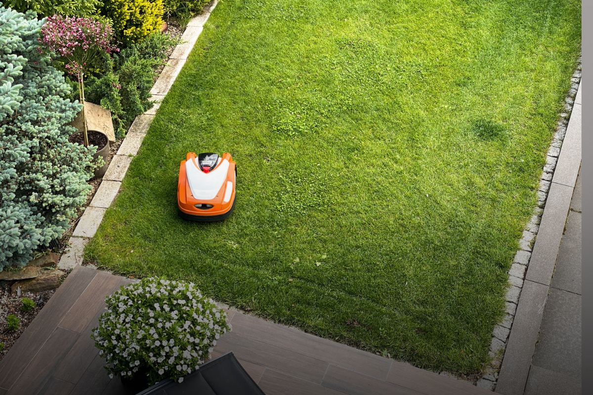 Article image for Ditch the push mower: Why robots are ruling the lawn
