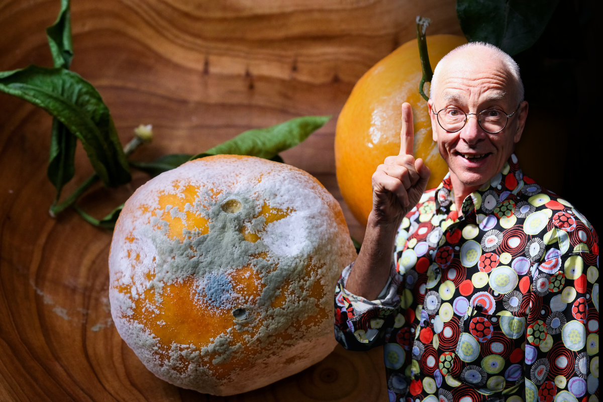 Article image for Mould Mystery: Is that food safe to eat?