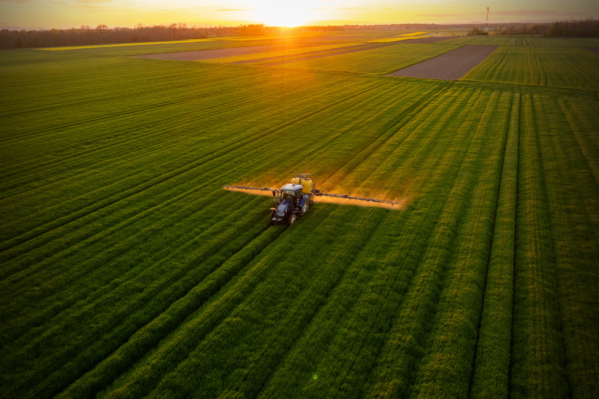 Article image for Why there are calls to ban a widely used herbicide