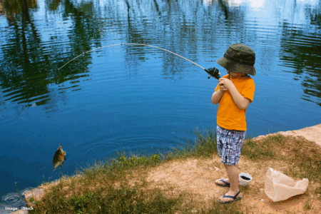 City of Stirling fishing ban: A case of ‘the minority spoiling it for the majority’