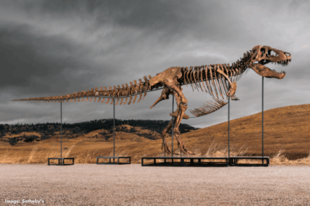 Record $71.8 million sale of T. rex fossil sparks scientific concern