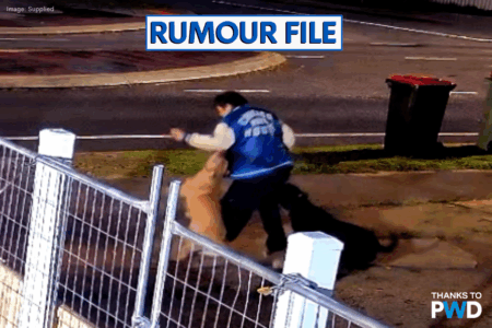 Victoria Park dog attack: Residents say it was preventable