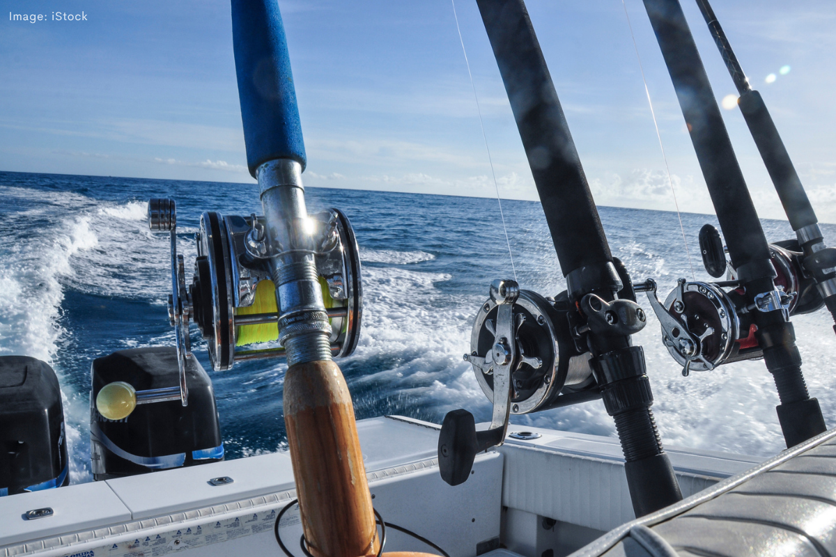 Article image for Calls for fishing inquiry to visit regions to assess impact of Labor’s demersal ban