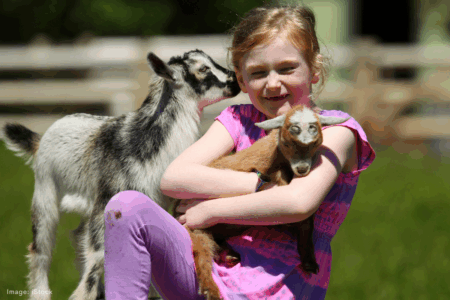 Perth Royal Show: Bringing value and agriculture back to the forefront