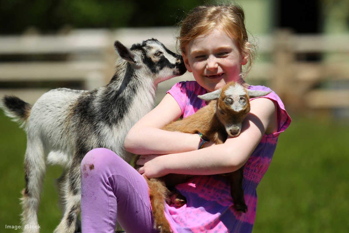 Article image for Perth Royal Show: Bringing value and agriculture back to the forefront
