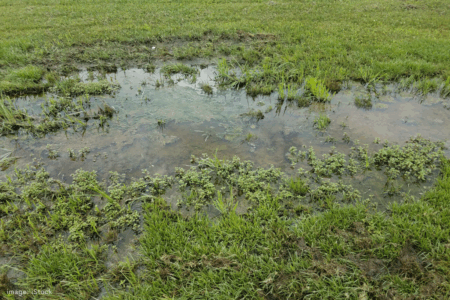 North Ellenbrook development: Risk of repeating Swan Valley flooding crisis