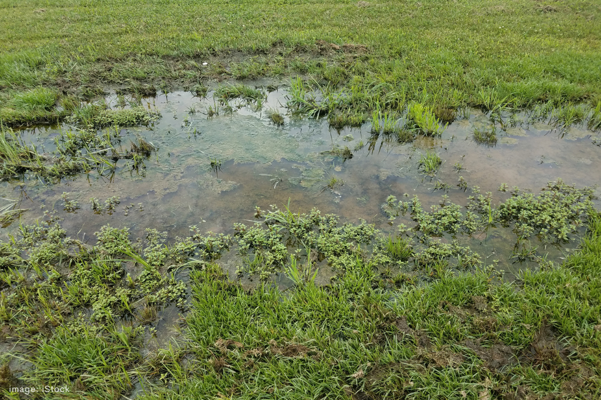 Article image for North Ellenbrook development: Risk of repeating Swan Valley flooding crisis