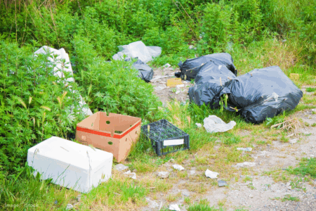 Canning targets illegal dumping with new cash incentive policy