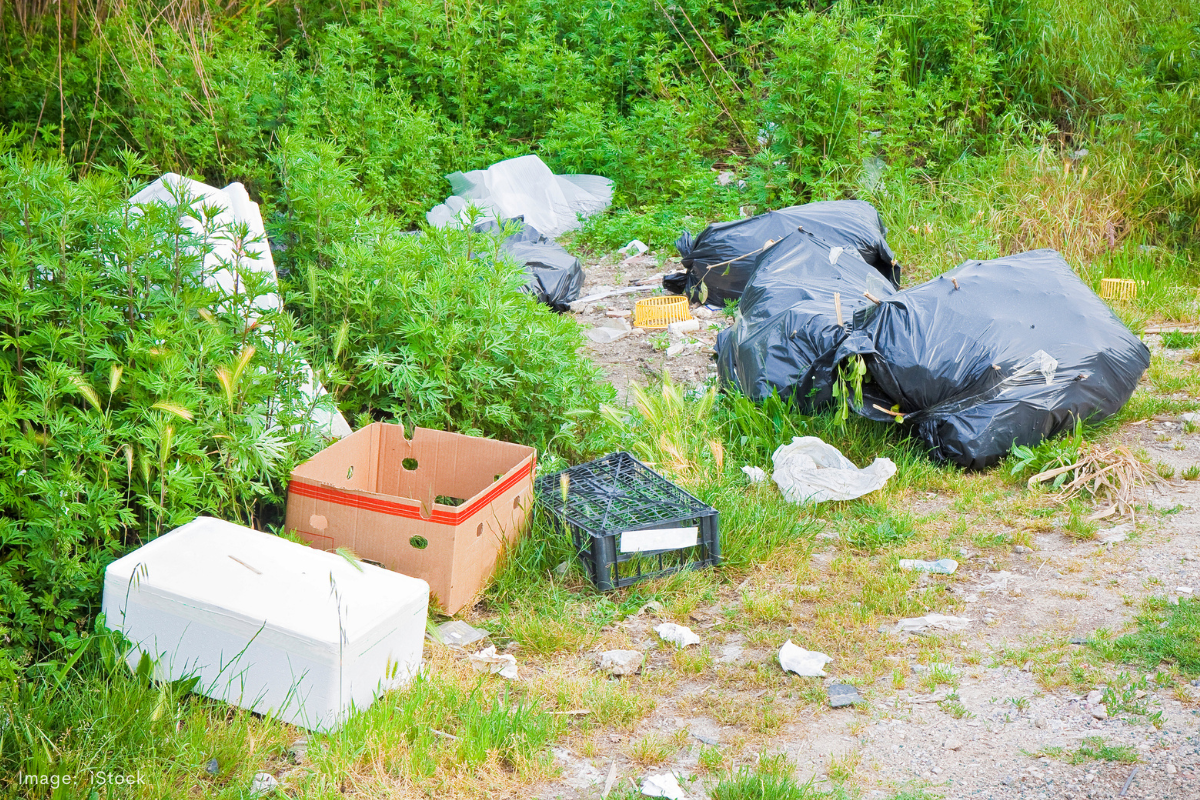 Article image for Canning targets illegal dumping with new cash incentive policy