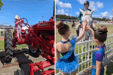 Back to basics: Perth Royal Show returns to its agricultural roots