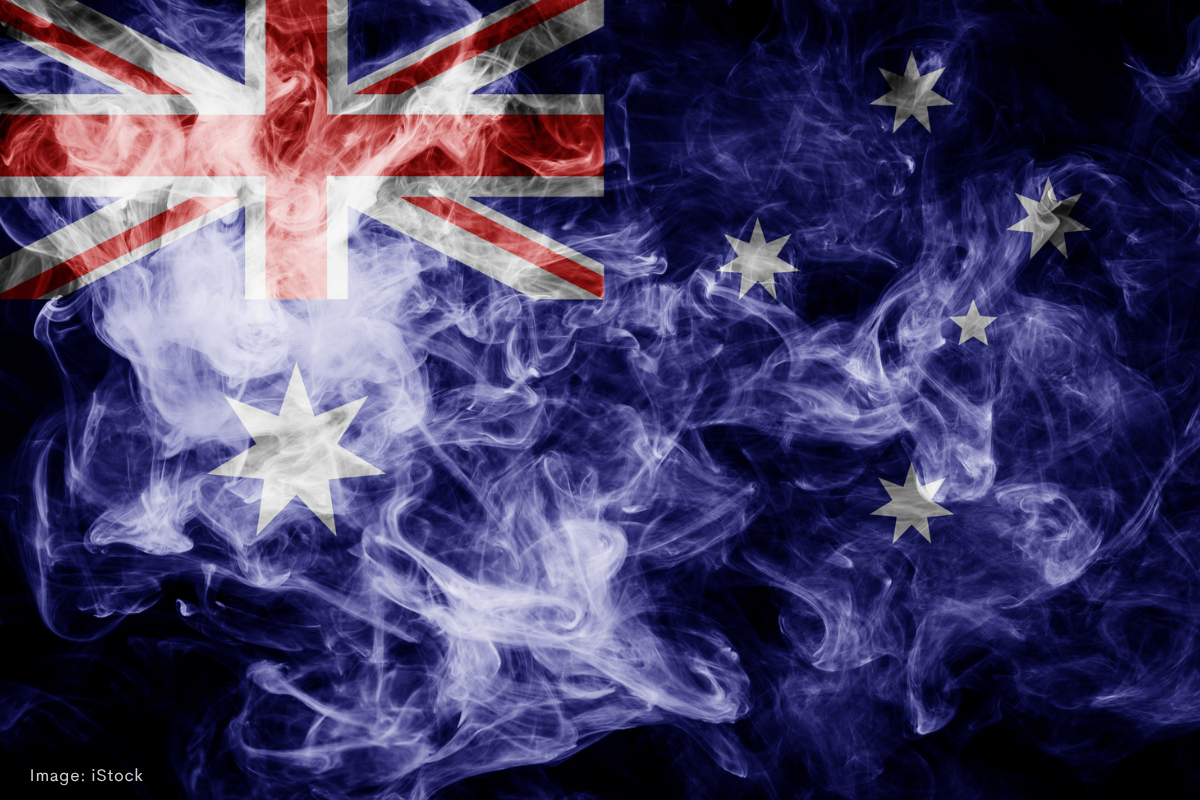 Article image for One Nation puts policy over politics to back Coalition’s flag-burning ban