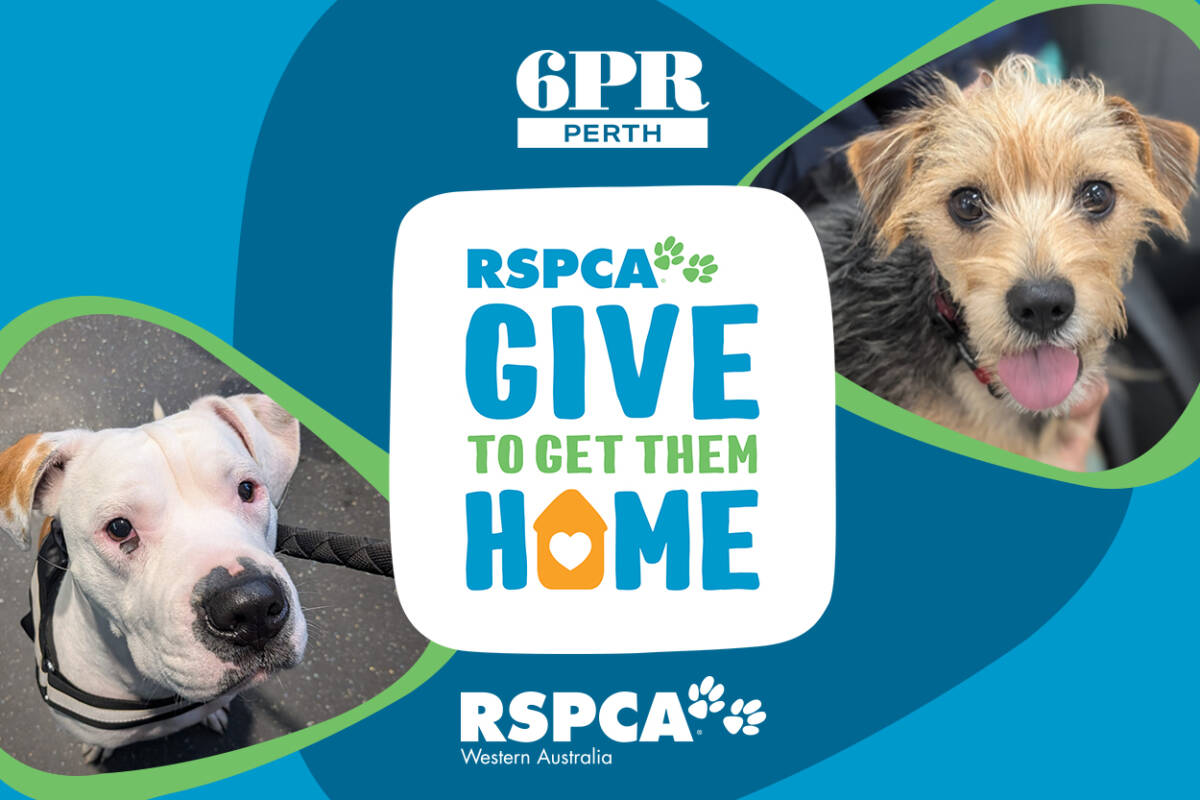 Article image for RSPCA WA Giving Day
