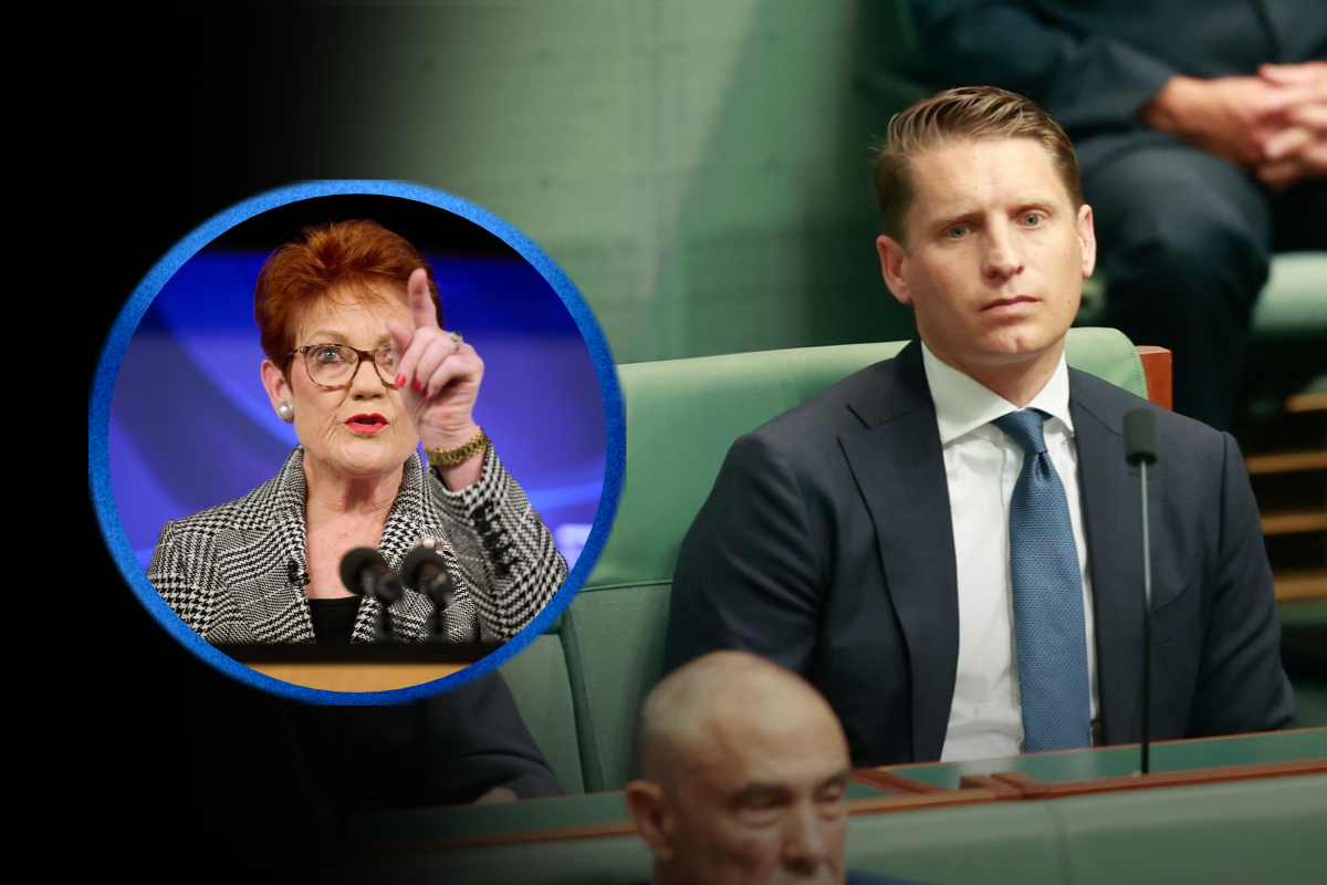 Article image for Hastie’s warning to One Nation: ‘I’ll go all the way’